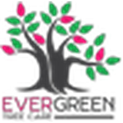 Evergreen Tree Care