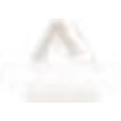 Ridgeline Building Group