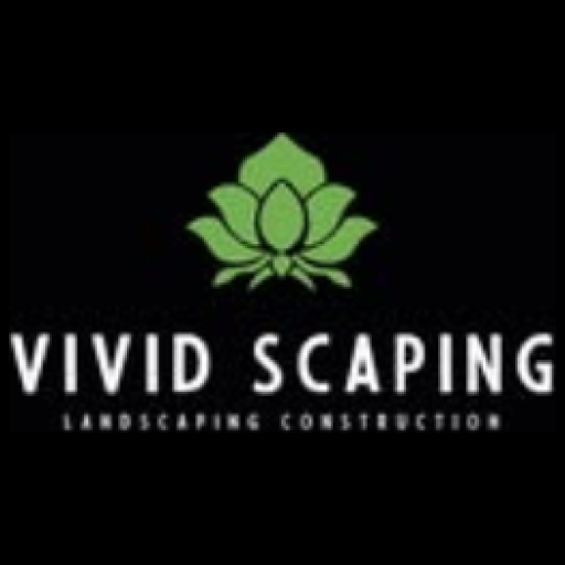 Vivid Scaping