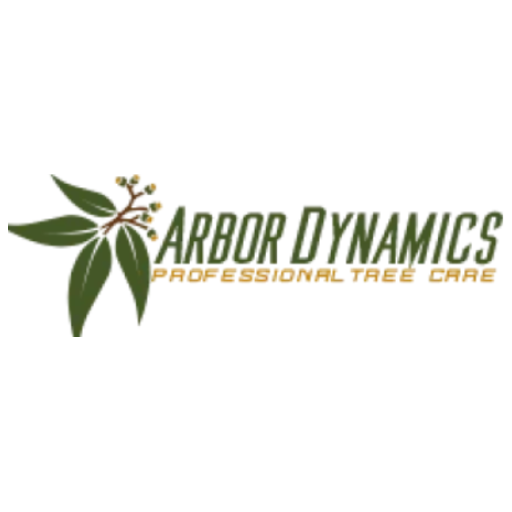 Arbor Dynamics